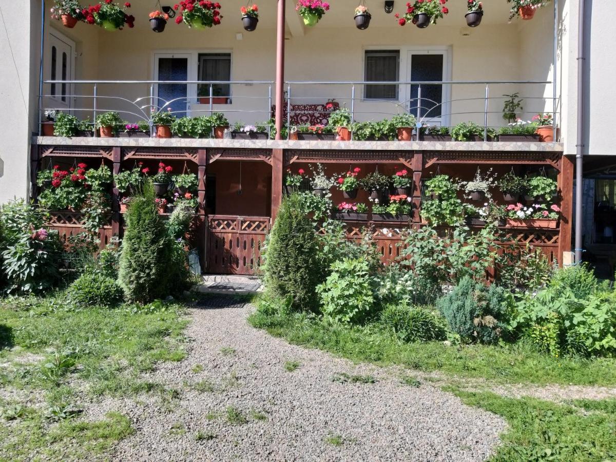 Villa Casa Cosmina Arieşeni Extérieur photo